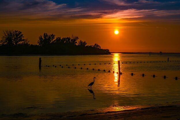 Gulf Coast of Florida